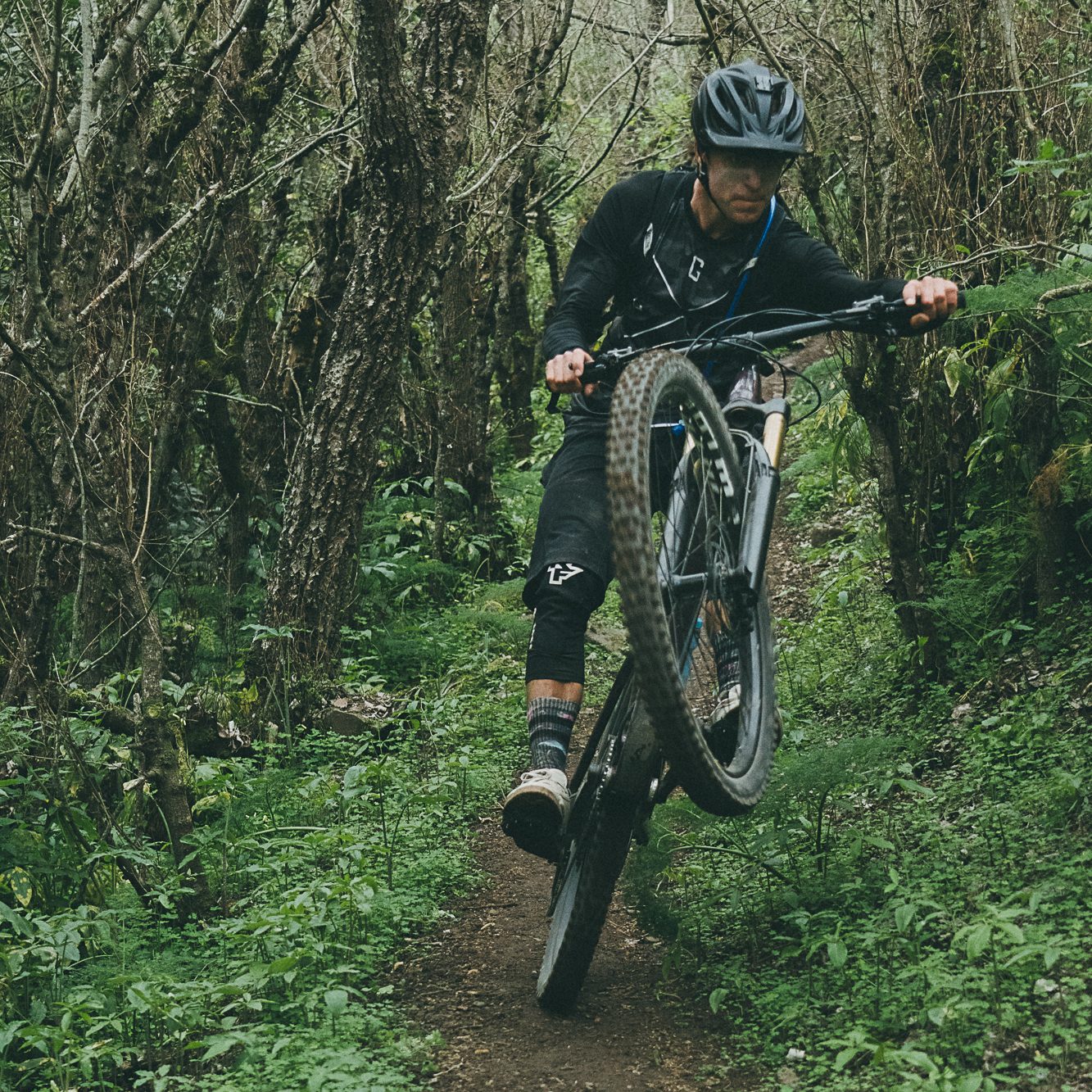 miha tratnik bajc wheeling mountain bike in the forest
